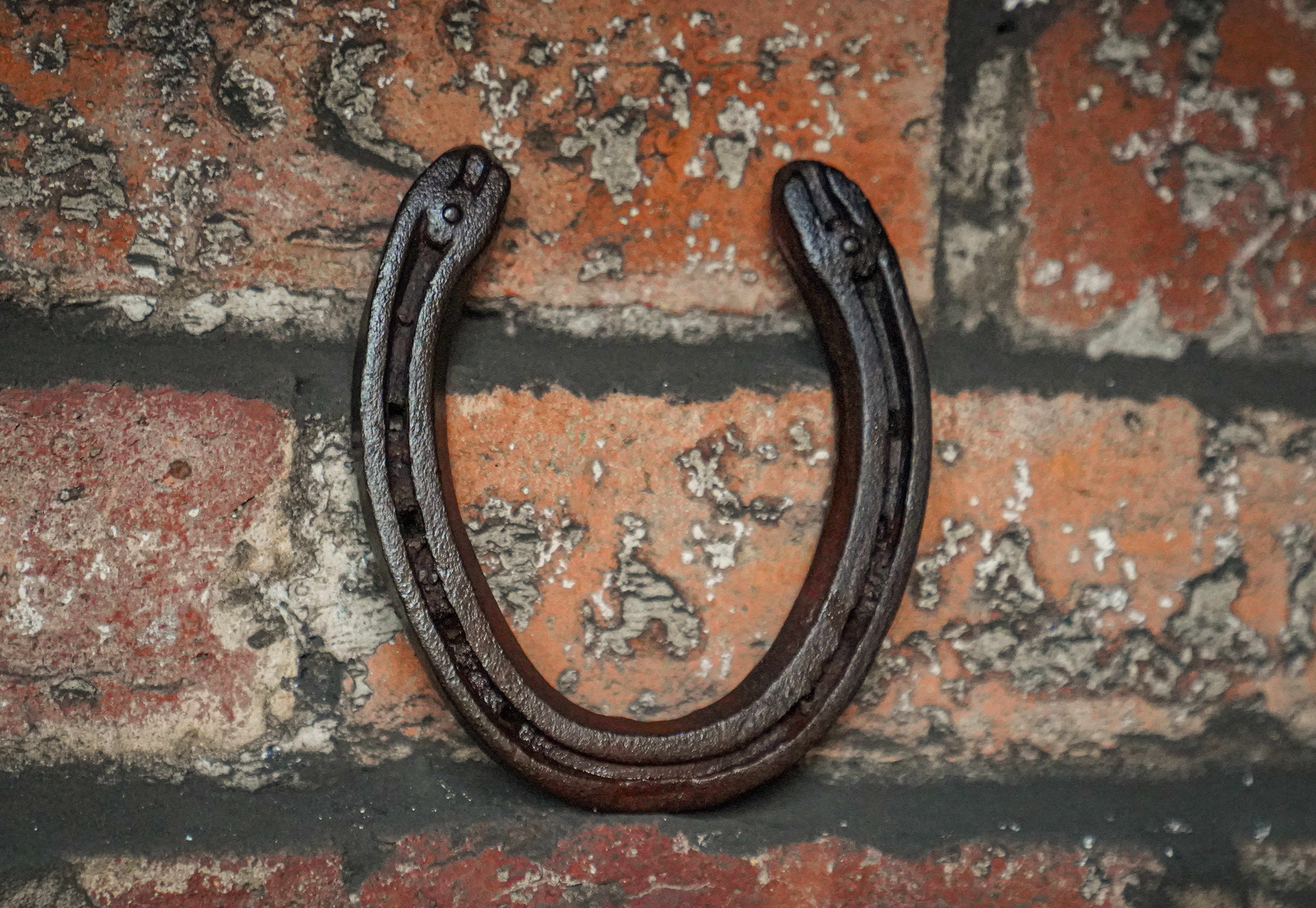 Horseshoe