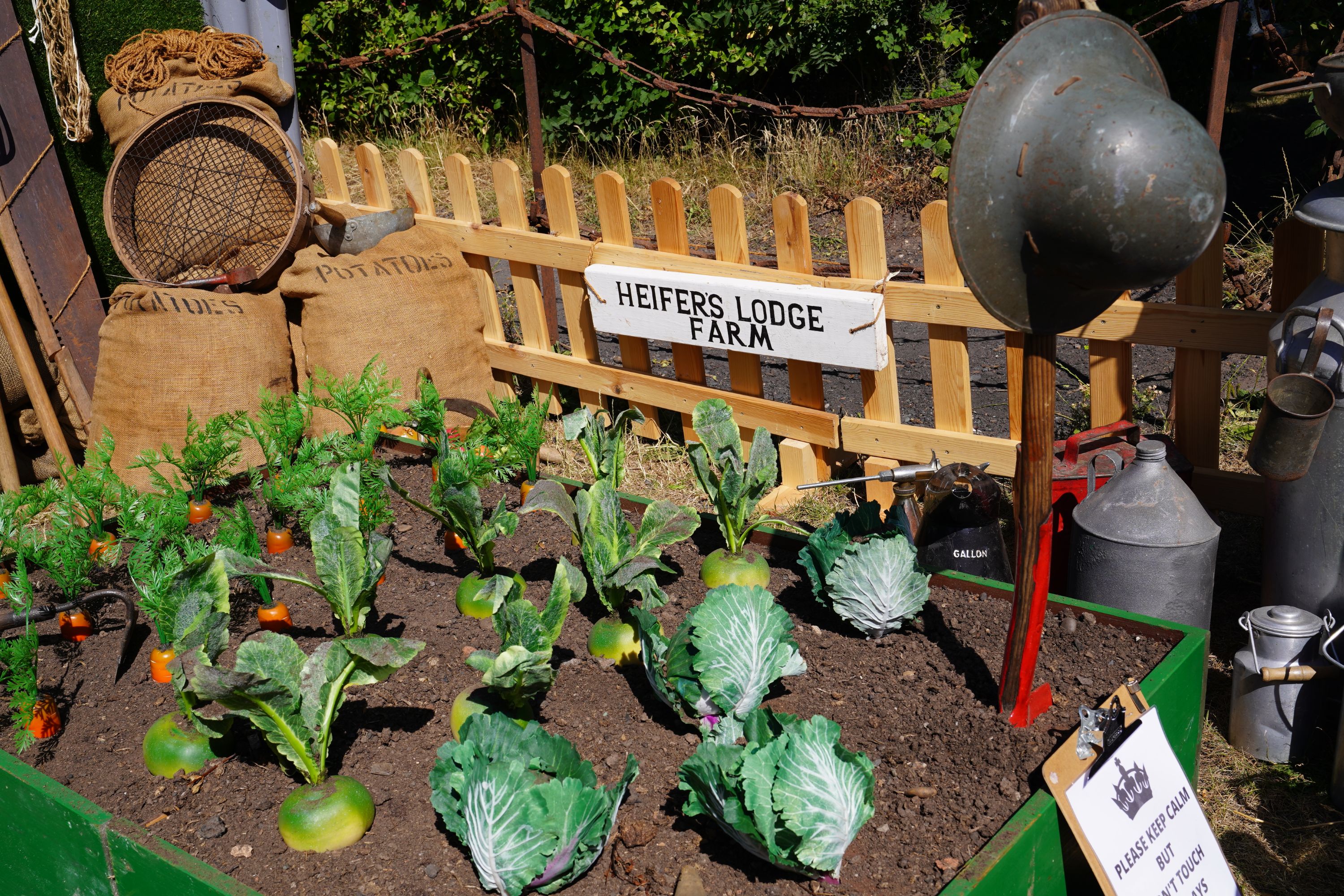 1940s vegetable garden